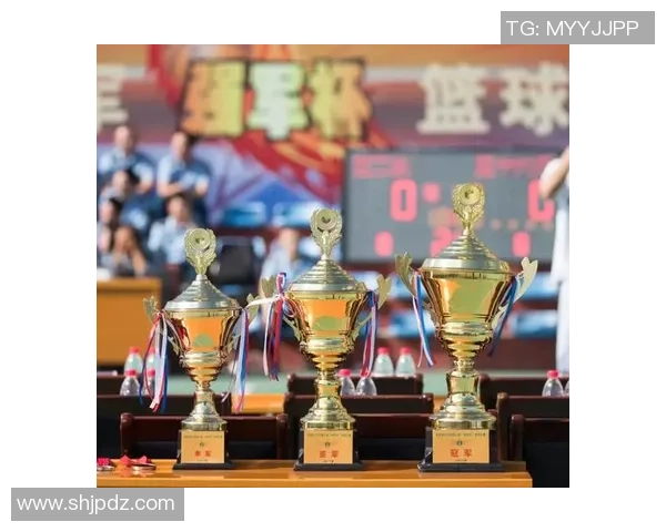 南京篮球队在杯赛中的意识表现分析与总结