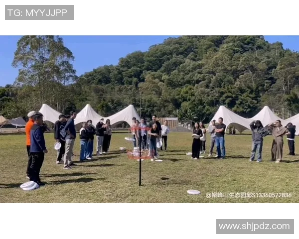 广州飞盘队运营革新探索:从草根到职业化的转型之路 广州飞盘队运营革新探索:从草根到职业化的转型之路